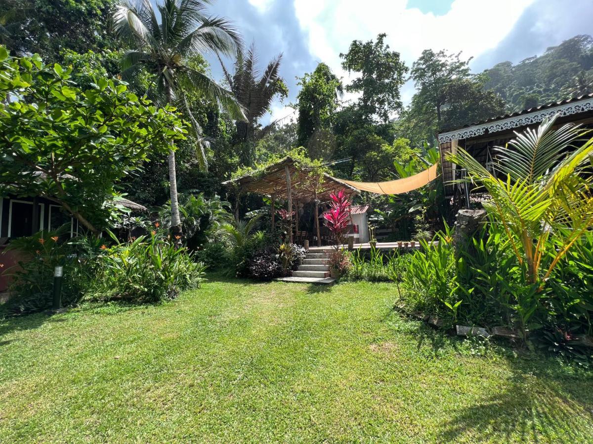 1511 Coconut Grove Villa Kampong Juara Kültér fotó